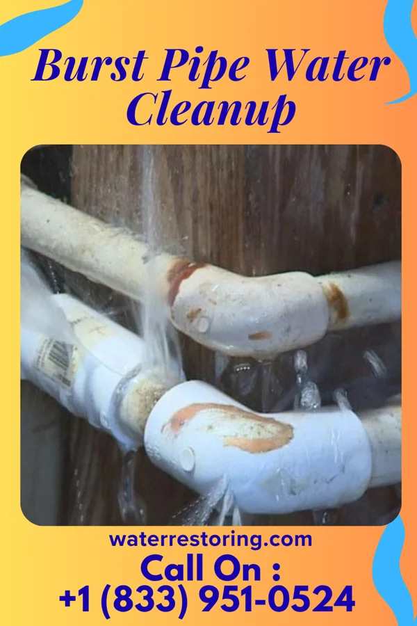 Burst Pipe Water Cleanup in Jonesville, SC