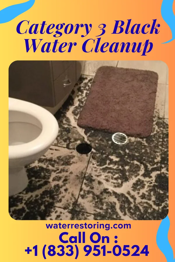 Category 3 Black Water Cleanup in Jonesville, SC